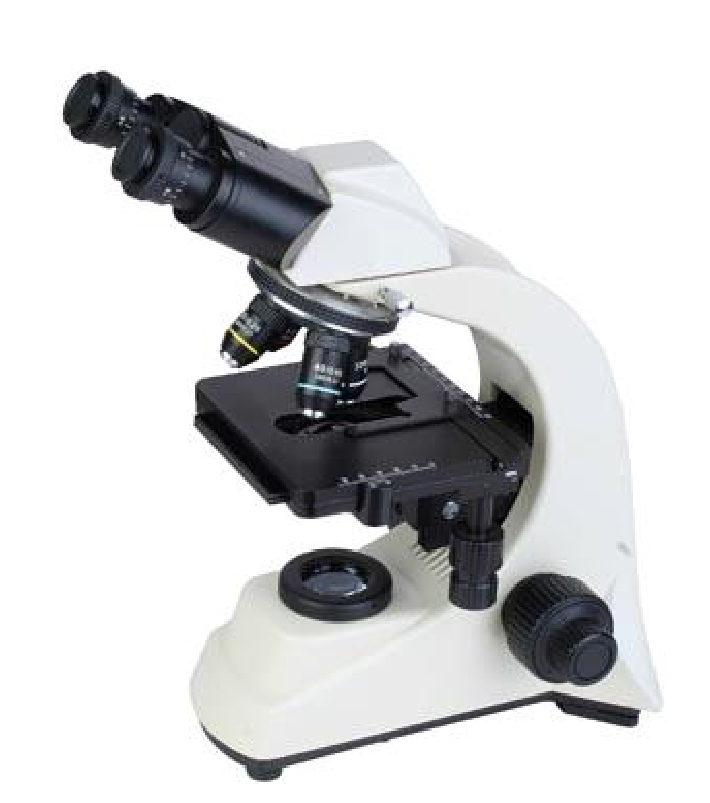 zoom stero microscope