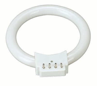 Spare Fluorescent Ring Light Bulb 8W.