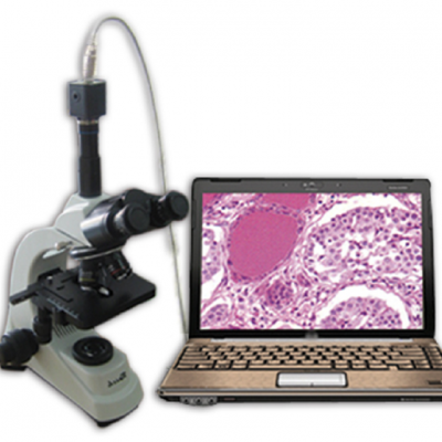 GI300T Trinocular Laboratory Microscope