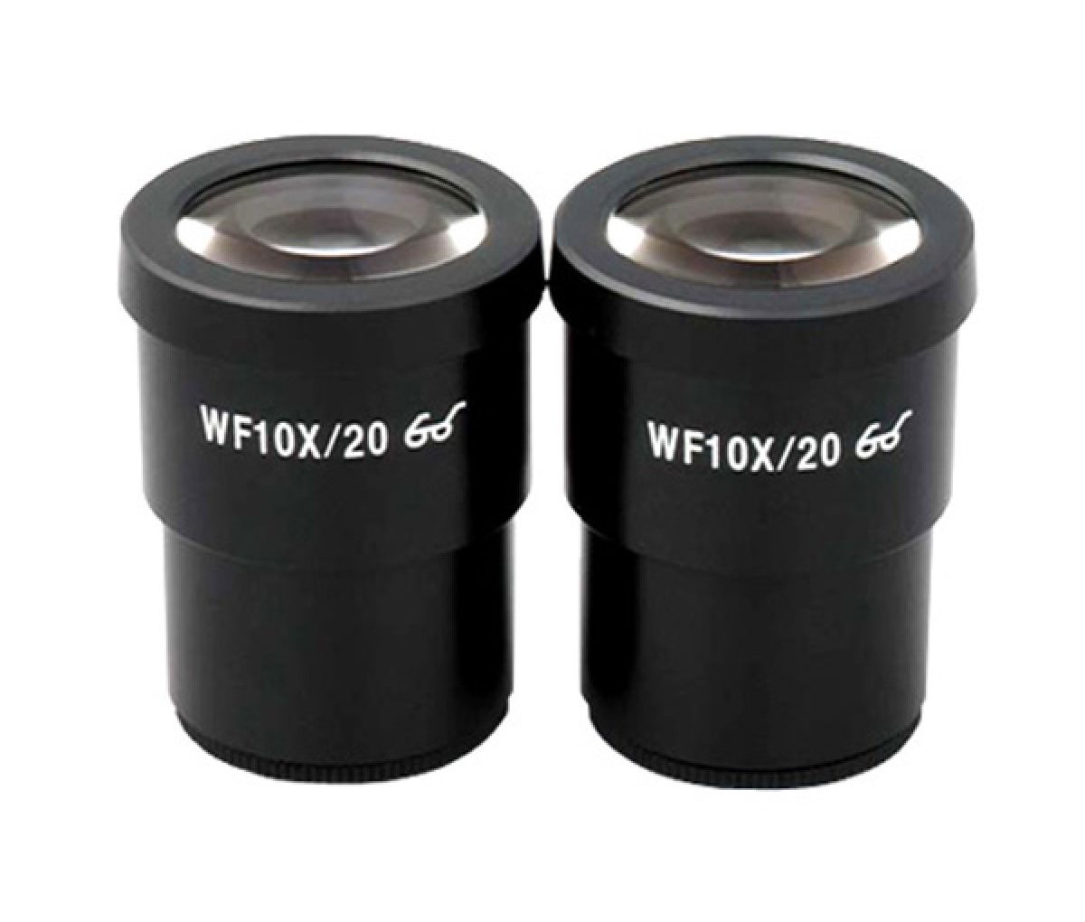 Eyepiece 10x with scale