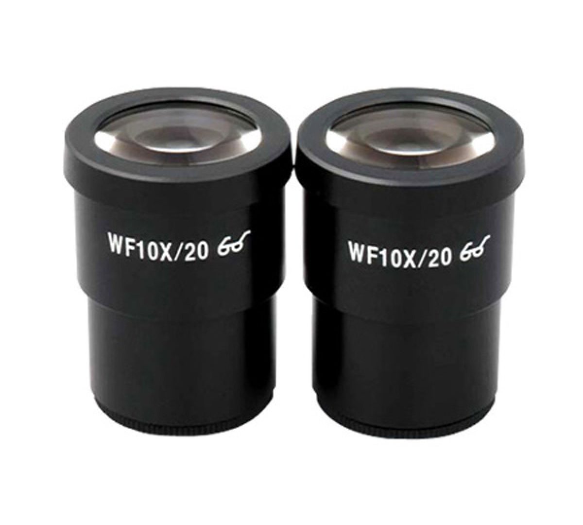 Eyepiece 10x with scale