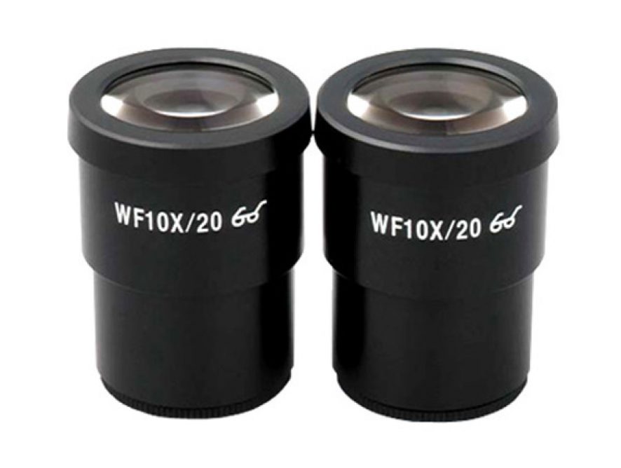 Eyepiece 10x with scale
