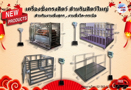 เครื่องชั่งน้ำหนักสัตว์ แบบกรงสำหรับสัตว์ใหญ่ เครื่องชั่งสุกร เครื่องชั่งโค กระบือ