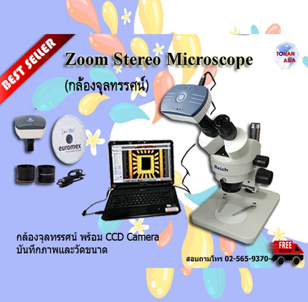 Euromex Zoom Stereo Microscope กล้องจุลทรรศน์ซูมสเตอริโอ