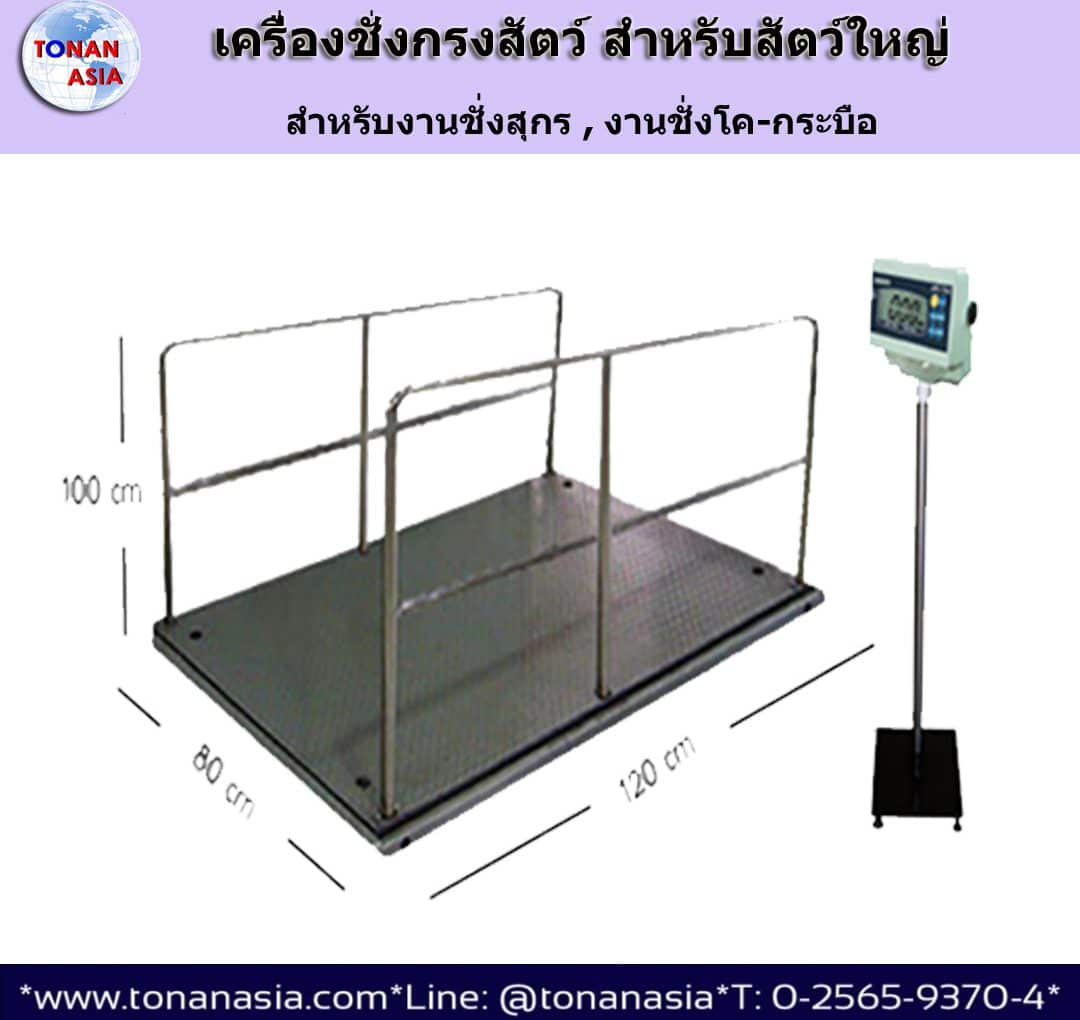 เครื่องชั่งน้ำหนักวัว สุกร ปศุสัตว์ แบบกรง คอก ชั่งทีละตัว Farmer Weighting Scale | Tonan Asia Autotech