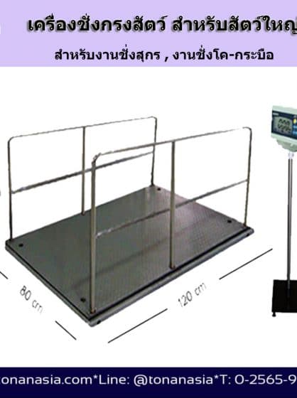 เครื่องชั่งน้ำหนักวัว สุกร ปศุสัตว์ แบบกรง คอก ชั่งทีละตัว Farmer Weighting Scale | Tonan Asia Autotech