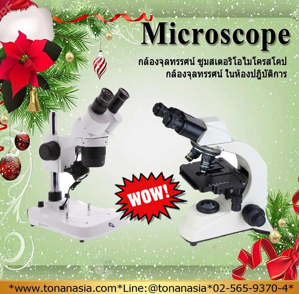 กล้องจุลทรรศน์ ไมโครสโคป Stereo Microscope