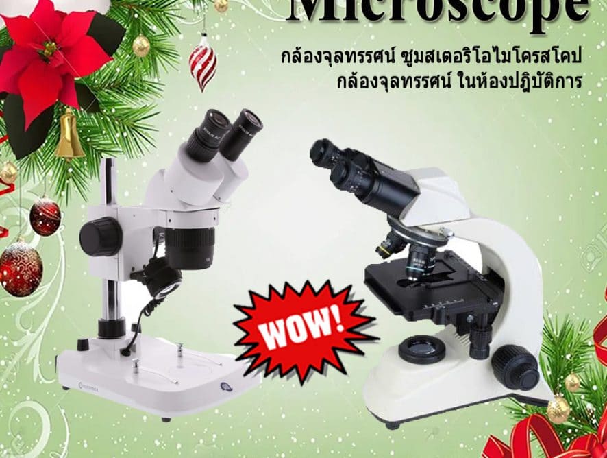 กล้องจุลทรรศน์ ไมโครสโคป Stereo Microscope