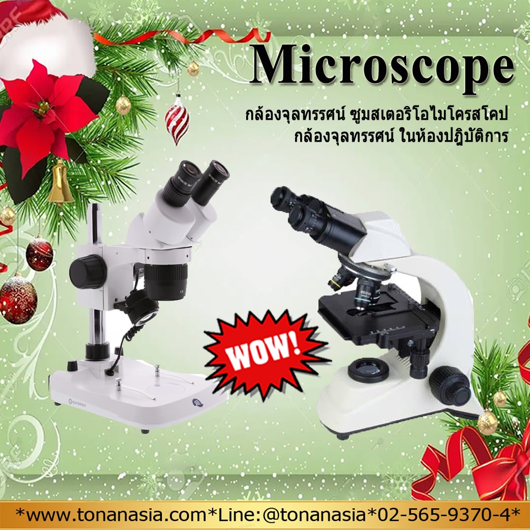 กล้องจุลทรรศน์ ไมโครสโคป Stereo Microscope