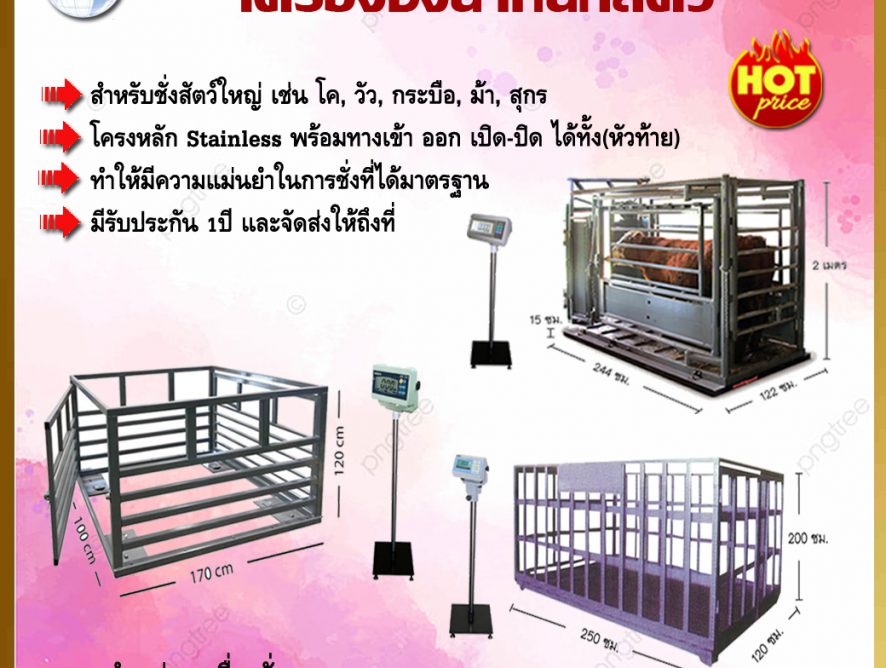 เครื่องชั่งน้ำหนักสัตว์ CATTLE SCALE