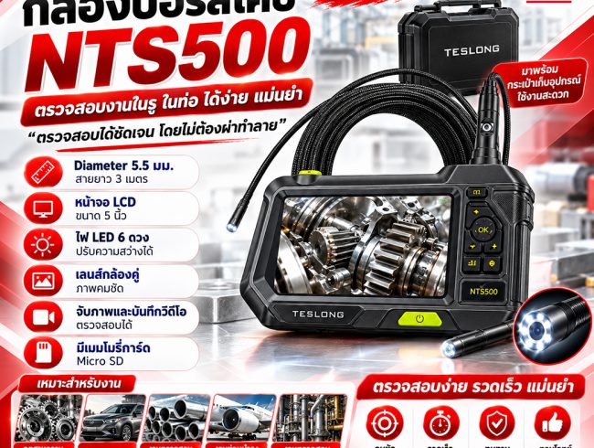 TESLONG Video Borescope NTS500